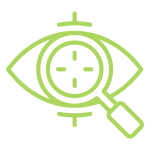 Our Vision